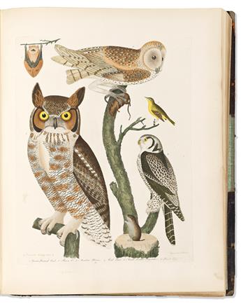 (NATURAL HISTORY.) Alexander Wilson; and Charles Lucien Bonaparte. American Ornithology;